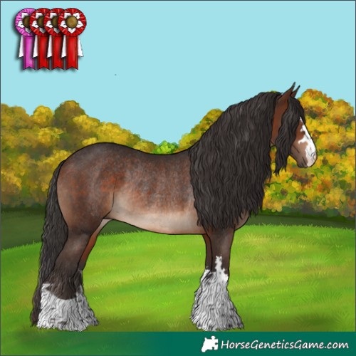 Horse Color:Brown Rabicano 