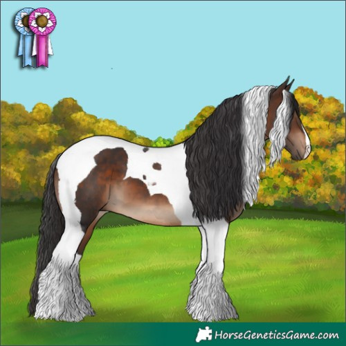 Horse Color:Brown Tobiano
