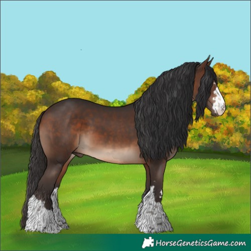 Horse Color:Brown 