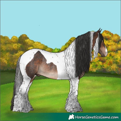 Horse Color:Brown Tobiano Rabicano