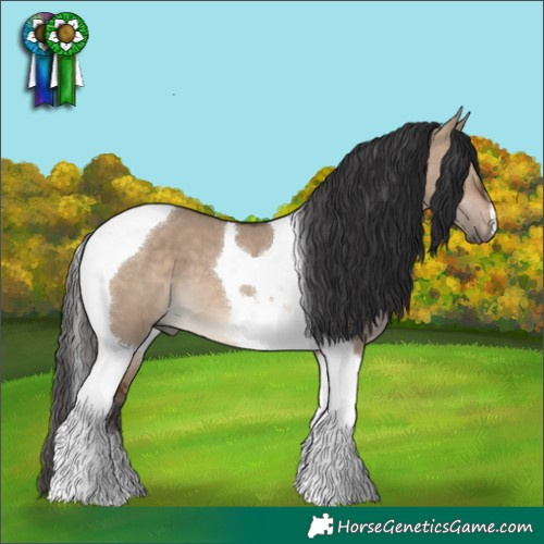 Horse Color:Brown Dun Tobiano