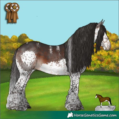 Horse Color:Powder White Brown Splash Tobiano Rabicano 