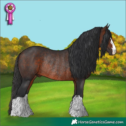 Horse Color:Brown Rabicano 