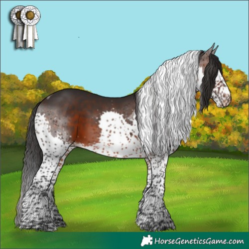 Horse Color:Brown Splash Tobiano 