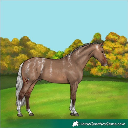 Horse Color:Powder White Silver Brown Dun Tobiano 