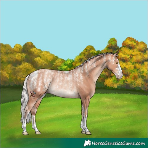 Horse Color:Powder White Chocolate Silver Sable Champagne Rabicano