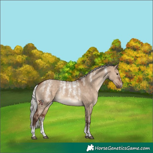 Horse Color:Powder White Silver Brown Dun Rabicano 