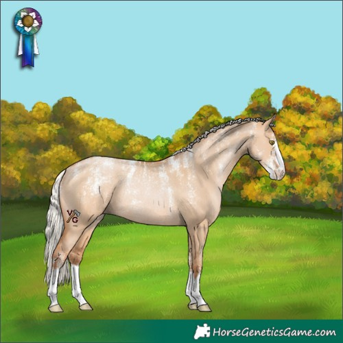 Horse Color:Powder White Silver Brown Pearl Dun Rabicano 
