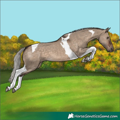 Horse Color:Silver Brown Dun Tobiano