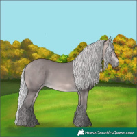 Horse Color:Platinum Silver Buckskin 