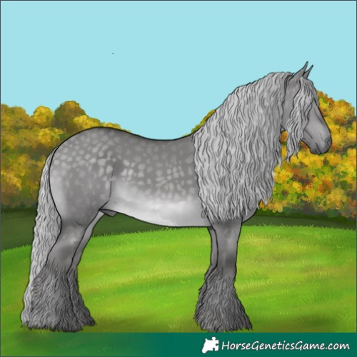 Horse Color:Platinum Silver Buckskin Dun