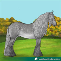 Horse Color:Platinum Silver Buckskin Dun 