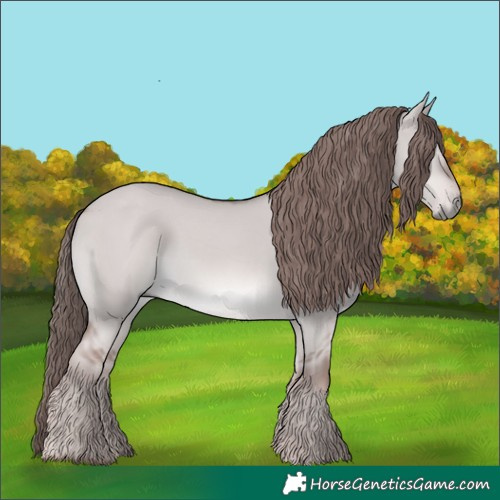 Horse Color:Platinum Red Dun