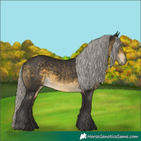 Horse Color:Silver Buckskin