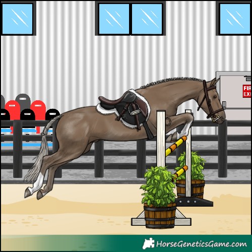Horse Color:Silver Smoky Black