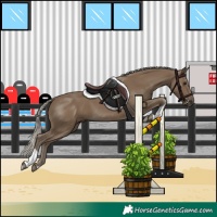 Horse Color:Silver Smoky Black 