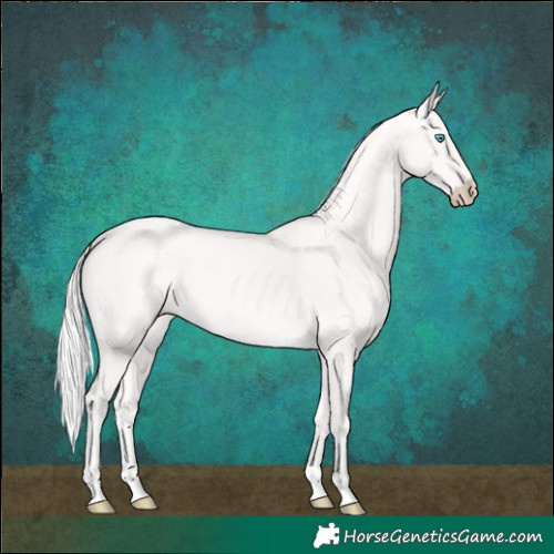 Horse Color:Cremello 
