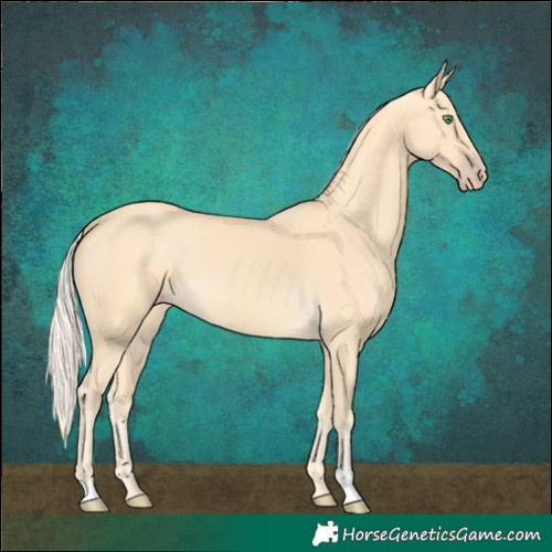 Horse Color:Gold Cream Champagne