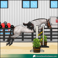 Horse Color:Bay Roan