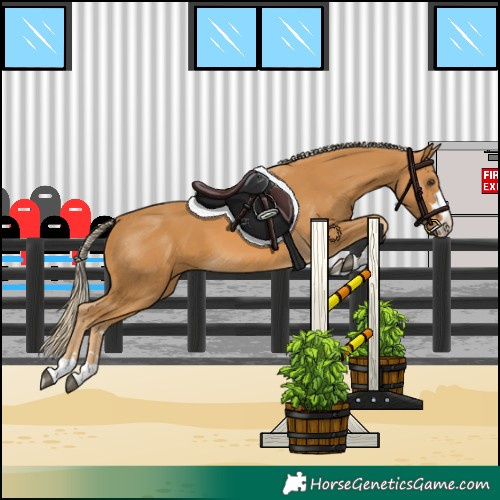 Horse Color:Palomino
