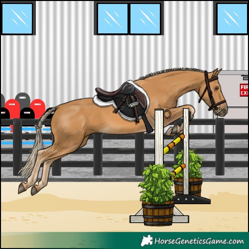 Horse Color:Palomino 