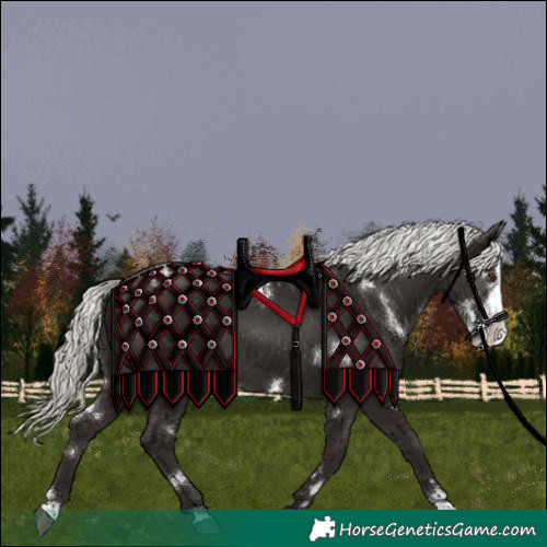 Horse Color:White Spotted Liver Chestnut Mushroom Splash Frame