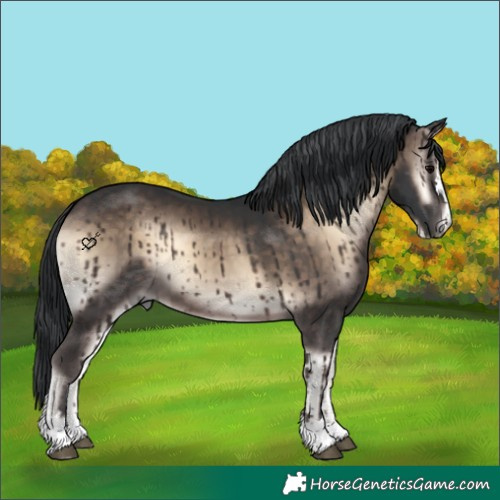 Horse Color:Brown Onyx 