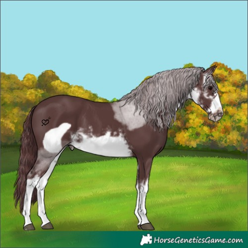Horse Color:White Spotted Chocolate Black Frame 