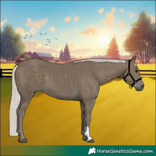 Horse Color:Silver Smoky Black