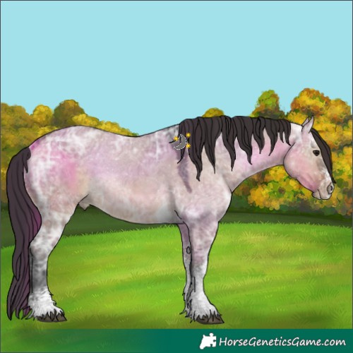 Horse Color:White Spotted Brown Ice Dun Tobiano