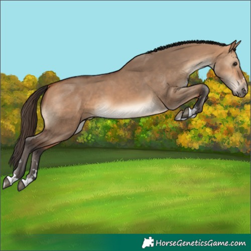 Horse Color:Bay Dun
