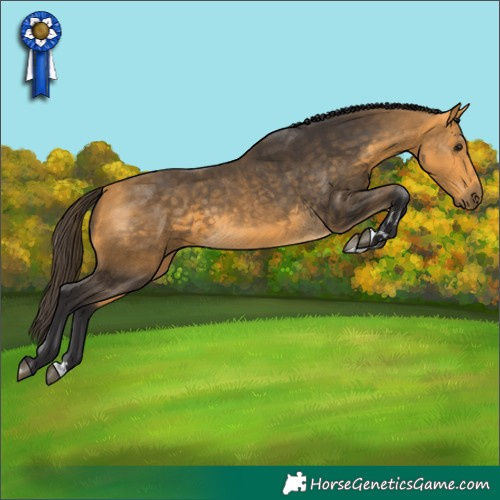 Horse Color:Buckskin