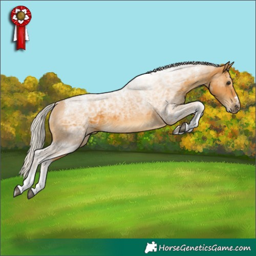 Horse Color:Powder White Silver Buckskin
