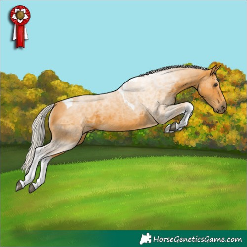 Horse Color:Silver Buckskin Tobiano
