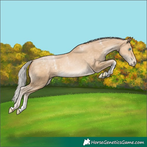 Horse Color:Powder White Silver Buckskin Pearl
