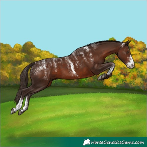 Horse Color:Powder White Liver Chestnut