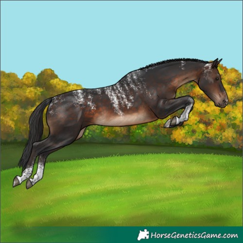 Horse Color:Powder White Brown