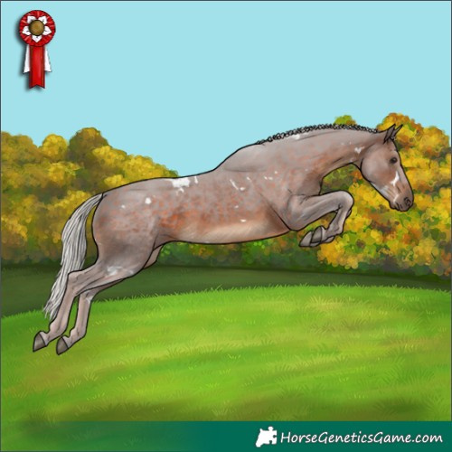 Horse Color:White Spotted Silver Brown