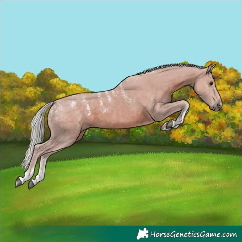 Horse Color:Powder White Silver Black