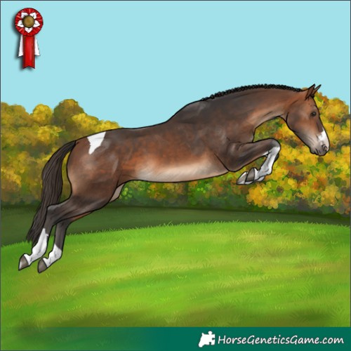 Horse Color:Bay Tobiano 
