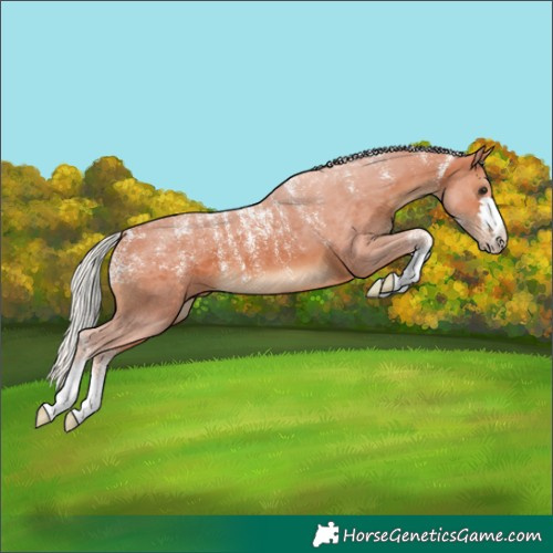 Horse Color:Powder White Silver Brown