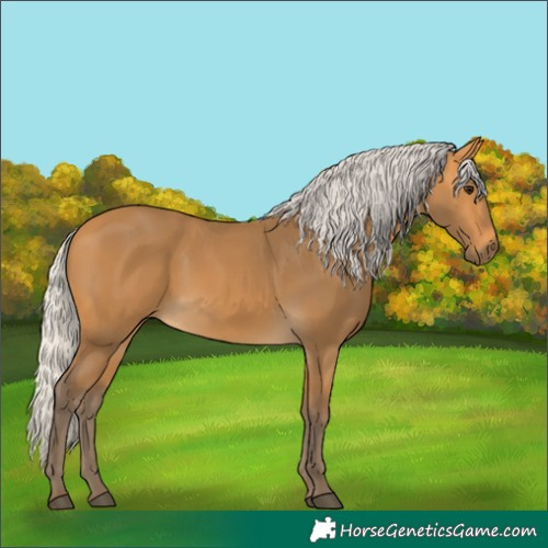 Horse Color:Silver Buckskin