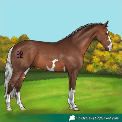 Horse Color:Silver Brown 