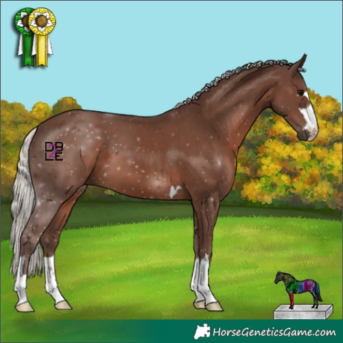 Horse Color:Silver Black