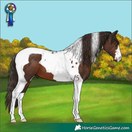 Horse Color:Liver Chestnut Tobiano 