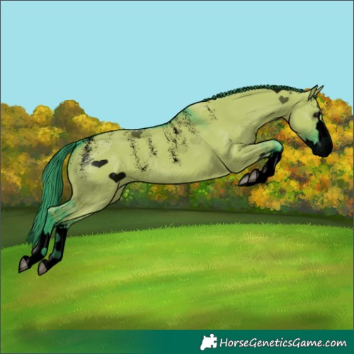Horse Color:Powder White Void Watercolor Grullo Splash Rabicano