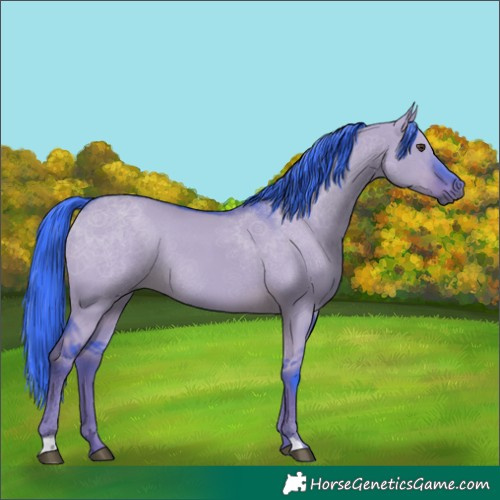 Horse Color:Watercolor Liver Red Dun Rabicano