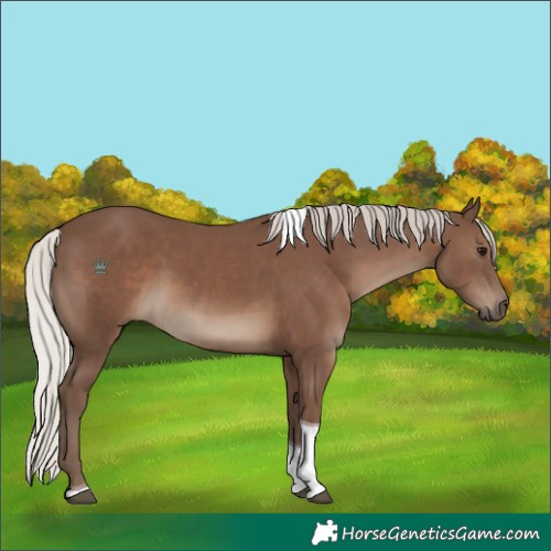 Horse Color:Silver Black Tobiano