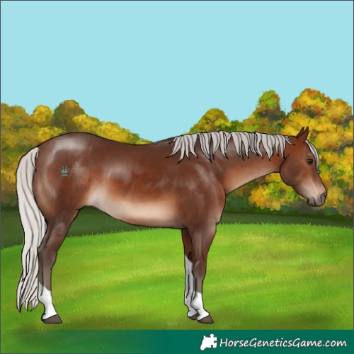 Horse Color:Silver Brown Tobiano