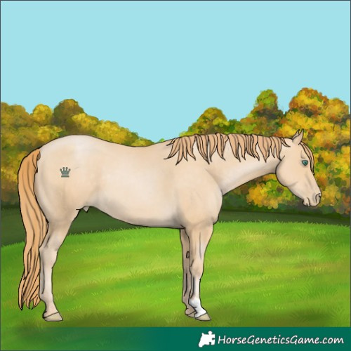 Horse Color:Smoky Black Pearl
